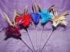 Feather Teaser With Pheasant Feathers